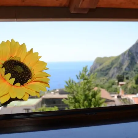 Casa Girasole アパート *